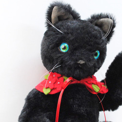 《送料無料》黒猫・青目　赤い襟飾り25cm 8枚目の画像