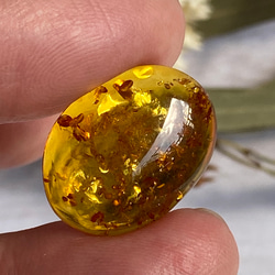 黄金のキラめき♢トップグレード♢ナチュラル バルティックアンバー ルース 06 天然石 天然色 9枚目の画像