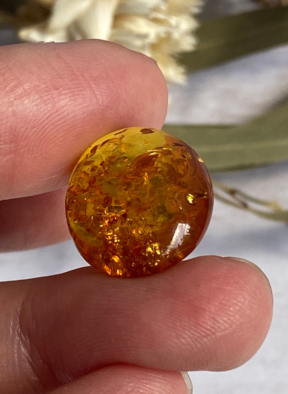 黄金のキラめき♢トップグレード♢ナチュラル バルティックアンバー ルース 06 天然石 天然色 4枚目の画像