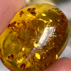 黄金のキラめき♢トップグレード♢ナチュラル バルティックアンバー ルース 06 天然石 天然色 15枚目の画像