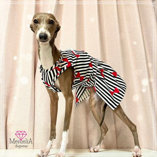 イタグレ用犬服】肩パッチンで着せやすい♡春におすすめ！リボン