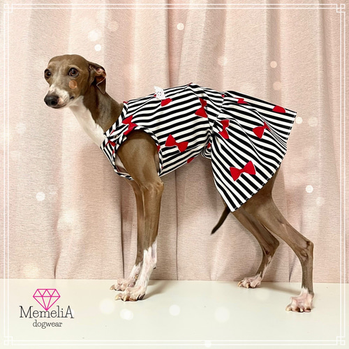 イタグレ用犬服】肩パッチンで着せやすい♡春におすすめ！リボン