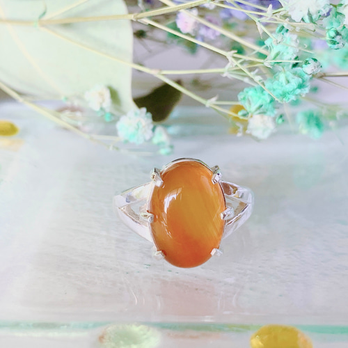 カーネリアン V-shaped Silverリング （№21） 指輪・リング