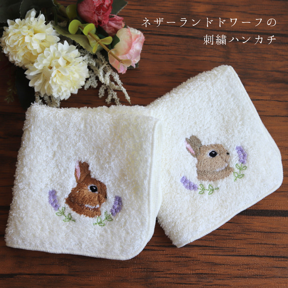 ネザーランドドワーフの刺繍ハンカチタオル 1枚目の画像