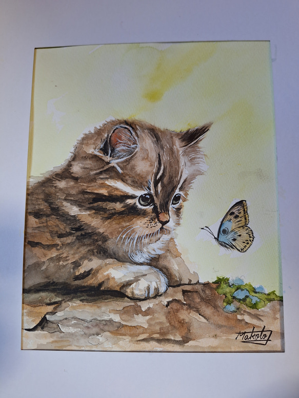 水彩画　チョウと見つめ合う子猫 2枚目の画像