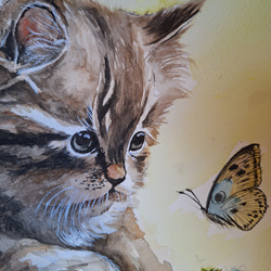 水彩画　チョウと見つめ合う子猫 4枚目の画像