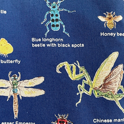 大きめサイズ　昆虫博士に贈るレッスンバック　11号帆布セルリアンブルー切替　ループ　35×45 持ち手群青色 3枚目の画像