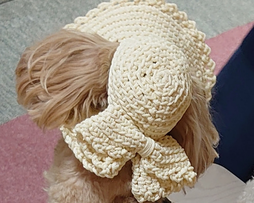 【☆しずく☆プロフも読んで】犬の帽子　リボンの麦わら帽子風　フレッシュ b7f240353eaacd49cfdcea4c79a595