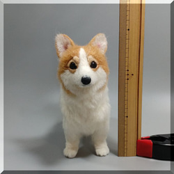 羊毛フェルト　犬　コーギー　ウェルシュ・コーギー　いぬ　イヌ　犬フィギュア 3枚目の画像