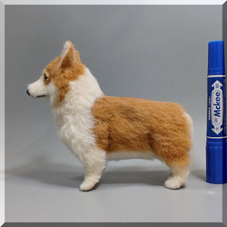羊毛フェルト　犬　コーギー　ウェルシュ・コーギー　いぬ　イヌ　犬フィギュア 8枚目の画像
