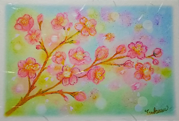 春の花３種の絵葉書(和紙)　桜・チューリップ・たんぽぽ　パステルアート 2枚目の画像