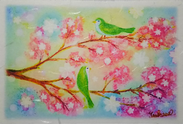 桜の景色の絵葉書２枚セット　春のパステルアート・ポストカード 3枚目の画像