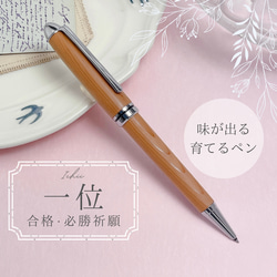 早い者勝ち‼️理英会⭐️ピンポンワーク➕おはなし先生（ペンピッタ）付き‼️バラ売可。 学業成就 合格必勝 一位の木/イチイ ゴールド金具・Chouette」木軸ペン