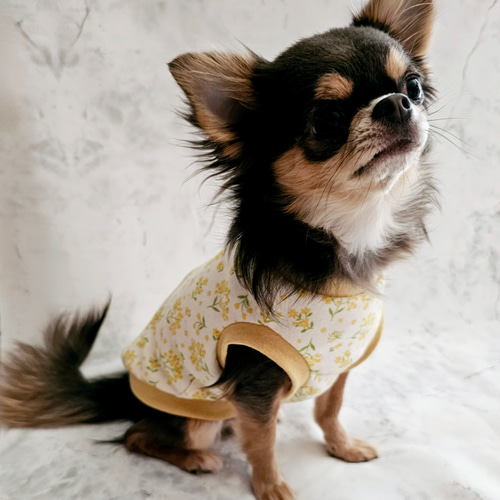 犬服ハンドメイド♡オーダー受付中♡トナカイ柄 犬服ハンドメイド♡オーダー受付中♡トナカイ柄 犬服ハンドメイド