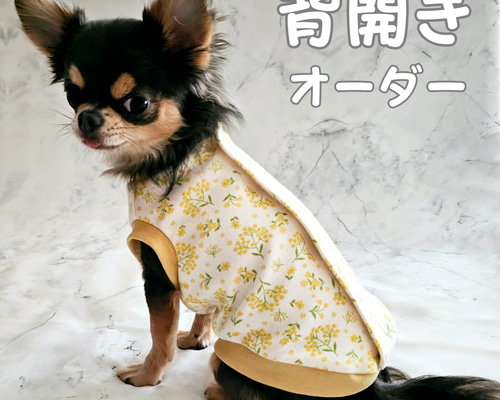 17e85e5df6743d4d58810df89ec79e