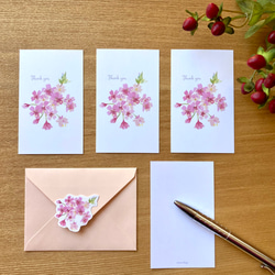 8月頃の花ポストカードセット ポストカード tomocollage 通販