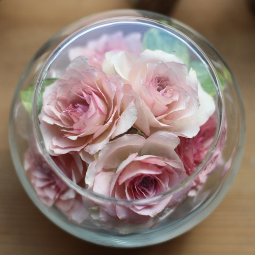 ❤生花のような枯れない本物のお花・ファンシーローラ（S