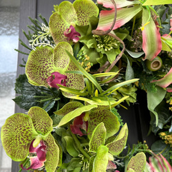 グリーン胡蝶蘭とグロリオサのハーフムーンリース 5枚目の画像