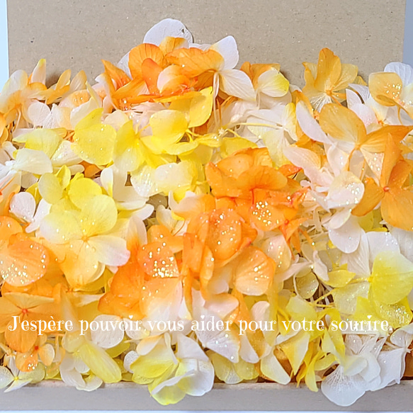 イエローオレンジ ゆめあじさい　小分け　プリザーブドフラワー　ハーバリウム　レジン　アレンジメント　花材　加工花材 1枚目の画像