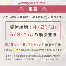 【予約販売】【4/21締切】母の日♡あまおう苺のホワイトチョコチーズケーキ【白砂糖・乳卵不使用・グルテンフリー】 3枚目の画像