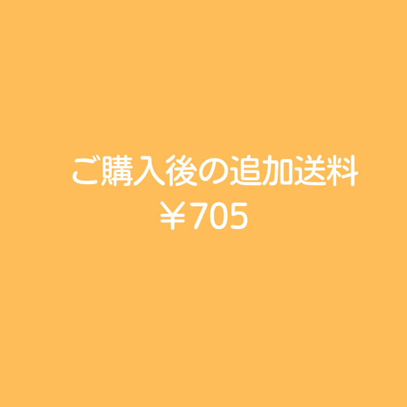 追加の送料　\705 1枚目の画像