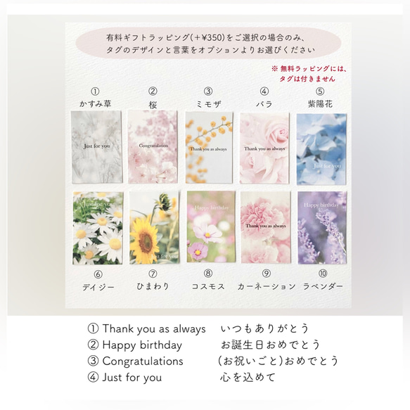 《14kgf》ローズクォーツの桜の花びら シンプル ネックレス/金属アレルギー対応/誕生石/入卒式 ハレの日 お花見 13枚目の画像