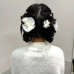 hanakanzashi 成人式 卒業式 二次会 ブライダル 成人式髪飾り 胡蝶蘭 ドライフラワー ヘッドドレス 2枚目の画像