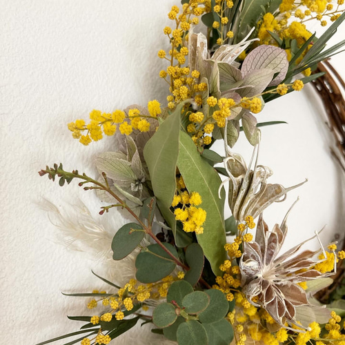ミモザドライフラワーハーフリース 楽天市場】ミモザドライフラワーリース ドライフラワー ミモザ リース