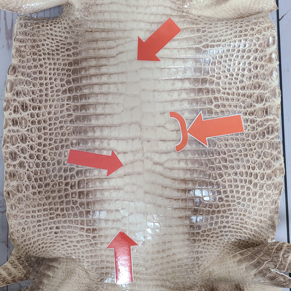 ワニ革 クロコ グレージング仕上げ  ヒマラヤ ナチュラル No.C006625 10枚目の画像