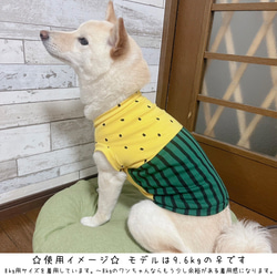 中型犬用ウェア/赤いスイカ⑥タンクトップLサイズ n-0192シリーズ 7枚目の画像