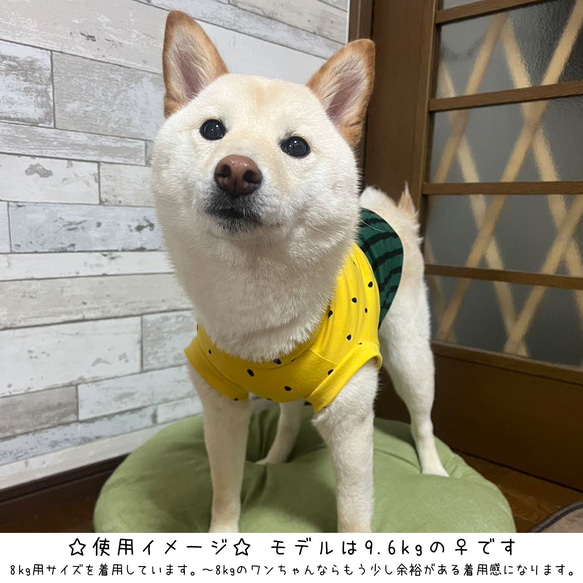 中型犬用ウェア/赤いスイカ⑥タンクトップLサイズ n-0192シリーズ 4枚目の画像