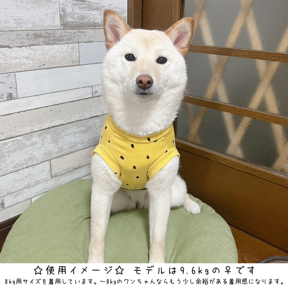 中型犬用ウェア/赤いスイカ⑥タンクトップLサイズ n-0192シリーズ 6枚目の画像