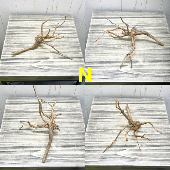 個性派揃い  マレーシア産  枝流木 ブランチウッド ブラウン 流木 14枚目の画像