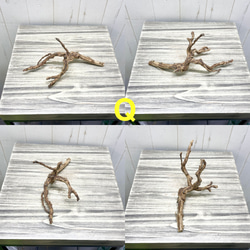 個性派揃い  マレーシア産  枝流木 ブランチウッド ブラウン 流木 17枚目の画像