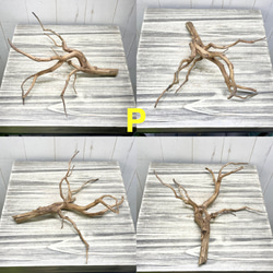 個性派揃い  マレーシア産  枝流木 ブランチウッド ブラウン 流木 16枚目の画像