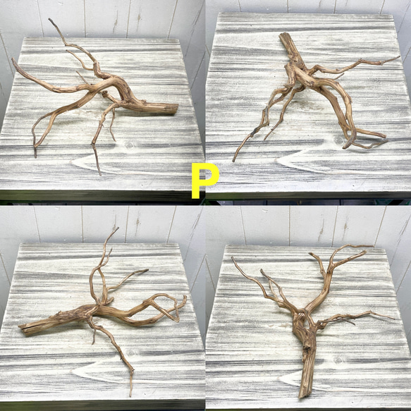 個性派揃い  マレーシア産  枝流木 ブランチウッド ブラウン 流木 16枚目の画像