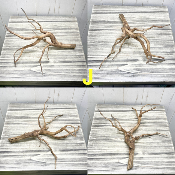 個性派揃い  マレーシア産  枝流木 ブランチウッド ブラウン 流木 10枚目の画像