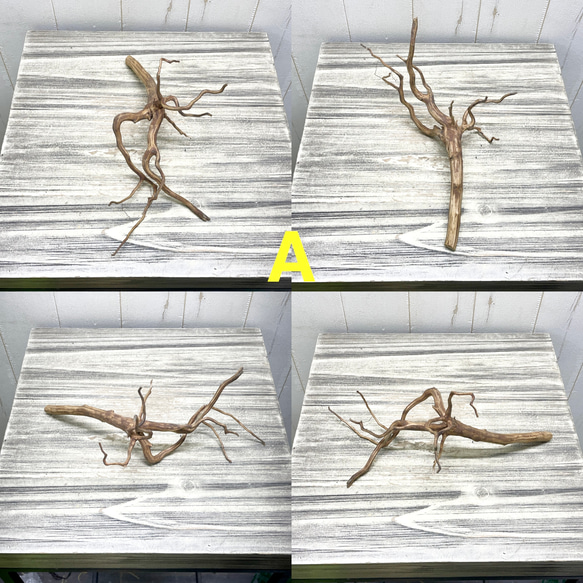 個性派揃い  マレーシア産  枝流木 ブランチウッド ブラウン 流木 1枚目の画像