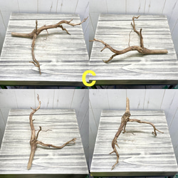 個性派揃い  マレーシア産  枝流木 ブランチウッド ブラウン 流木 3枚目の画像