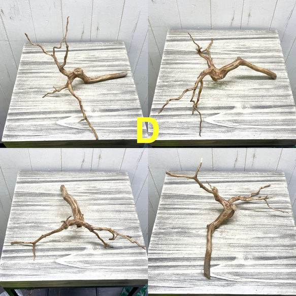 個性派揃い  マレーシア産  枝流木 ブランチウッド ブラウン 流木 4枚目の画像