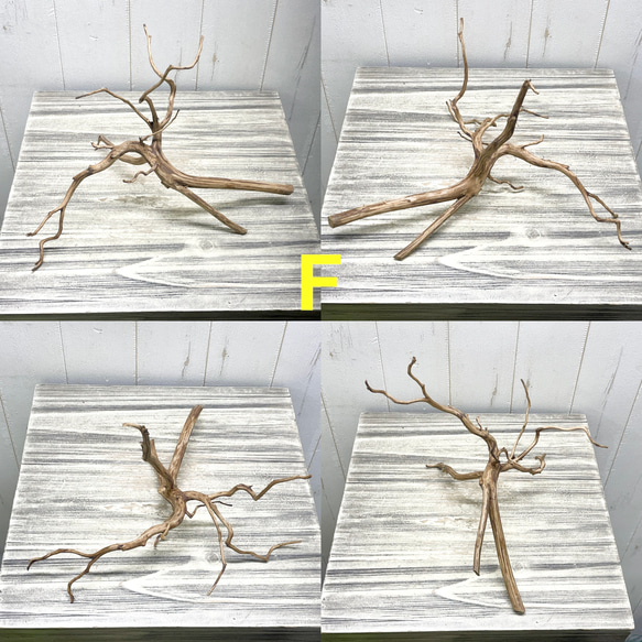 個性派揃い  マレーシア産  枝流木 ブランチウッド ブラウン 流木 6枚目の画像