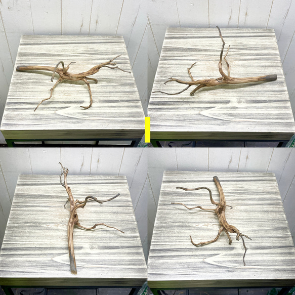 個性派揃い  マレーシア産  枝流木 ブランチウッド ブラウン 流木 9枚目の画像