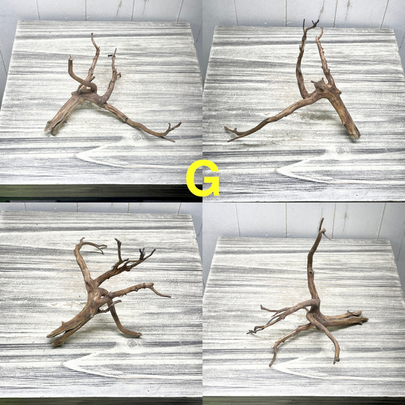 個性派揃い  マレーシア産  枝流木 ブランチウッド ブラウン 流木 7枚目の画像