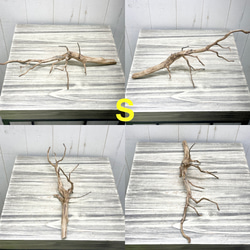 個性派揃い  マレーシア産  枝流木 ブランチウッド ブラウン 流木 19枚目の画像