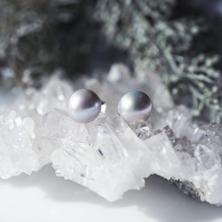 シルバー淡水真珠のスタッドピアス　～春月夜（はるづきよ） 5枚目の画像