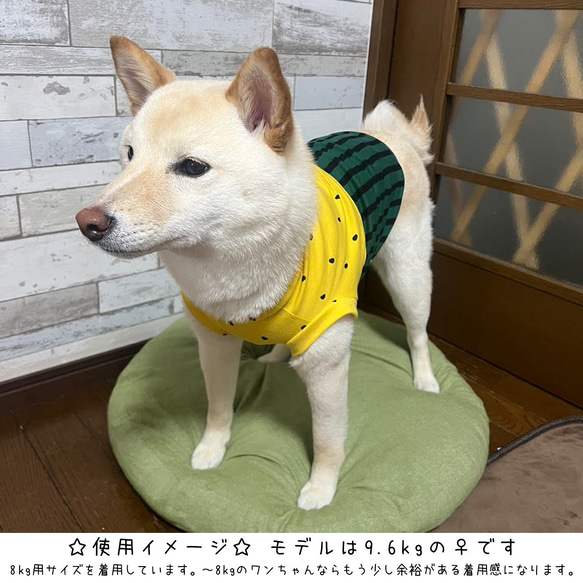 中型犬用ウェア/黄色いスイカ⑥タンクトップLサイズ n-0192シリーズ 5枚目の画像