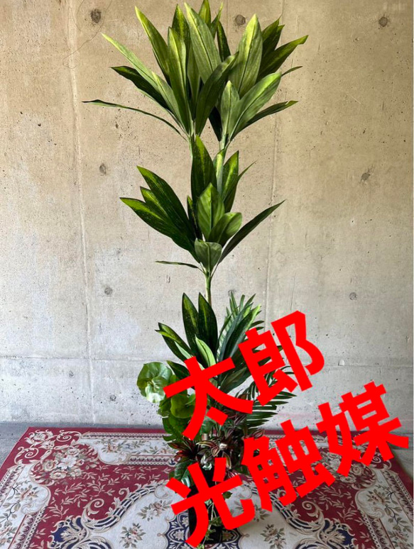 光触媒 人工観葉植物 ウォールグリーン フェイクグリーン