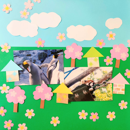 アルバム飾り　桜　オーダー受付中( ＾∀＾) セール中 ミネート可 写真 色紙 手紙 壁面 アルバム 飾り パーツ ～桜