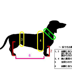 【モニター募集】木製小型犬用車椅子 4枚目の画像