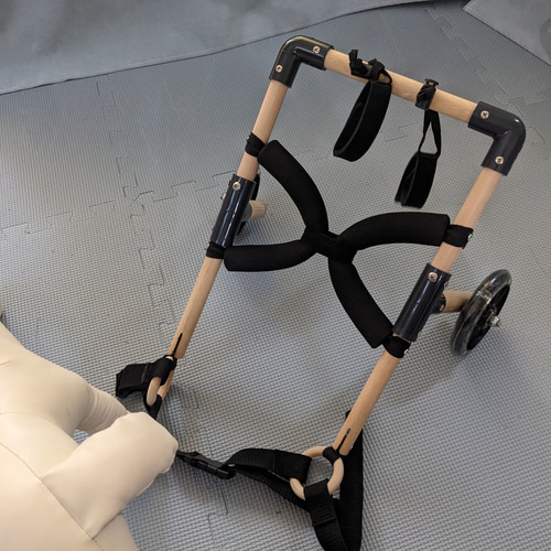 mako【中古】犬用車椅子/豆柴 mako様専用【中古】犬用車椅子/豆柴 （mako様専用【中古】犬用